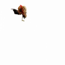 LittleCupid