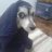 Illyria