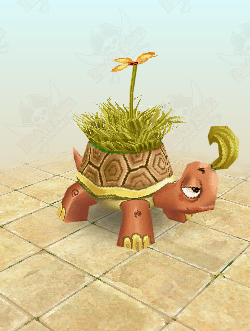 Sandy Tortoise
