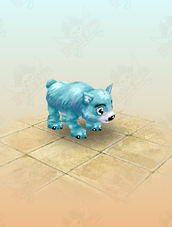 Snowy Bear Cub