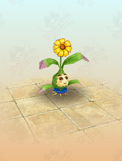 Mystic Flower
