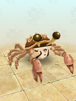 Sand Crab