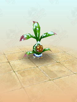 Snowy Mystic Shrub