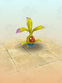 Dry Mystic Shrub