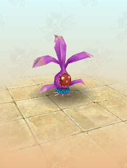 Purple Mystic Shrub