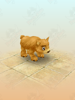 Bear Cub
