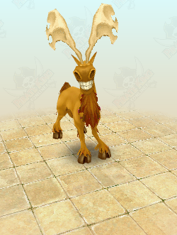 Elk
