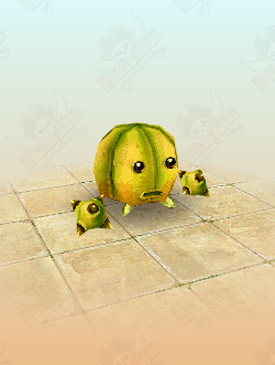 Gigantic Melon