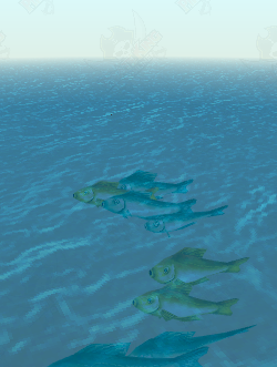 Fish Swarm (Bountiful)