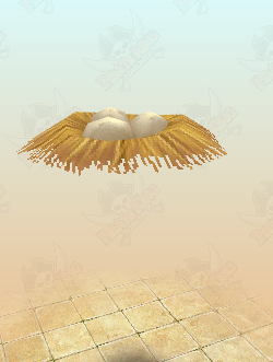 Bird Nest
