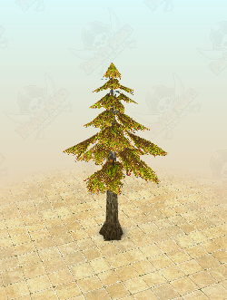 Pine Tree