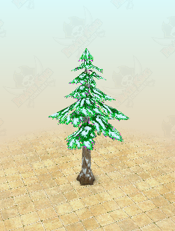 Pine Tree