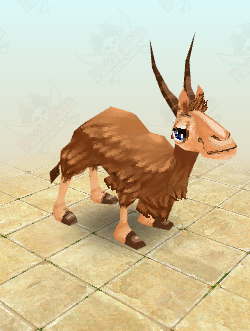 Humpy Camel