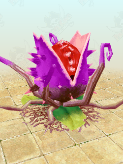 Huge Spiky Stramonium
