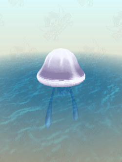 White Cap Sea Jelly