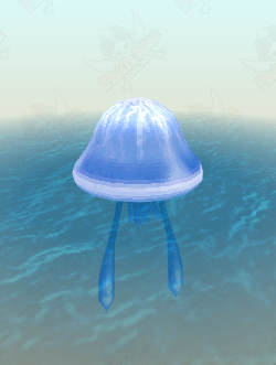 Thunder Sea Jelly