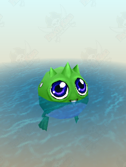 Big Eyed Polliwog