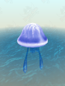 Shocking Sea Jelly