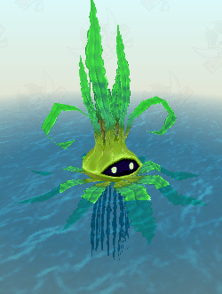Floating Seaweed