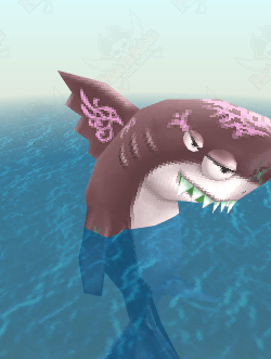 Old Sawtooth Shark