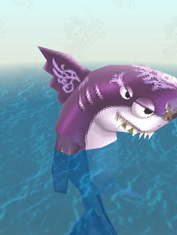 White Finned Shark