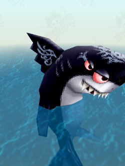 Black Finned Shark