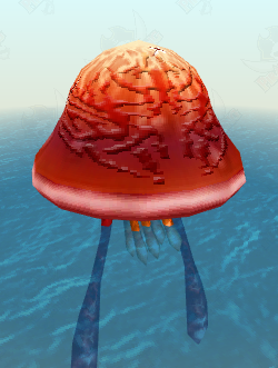 Grand Sea Jelly