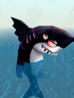 Great White Shark