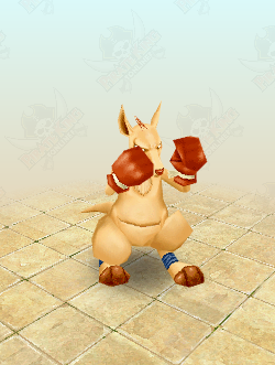Rookie Boxeroo