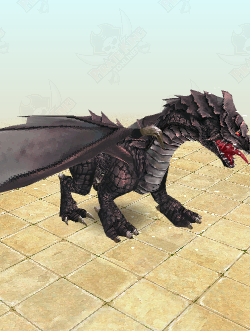 Baby Black Dragon