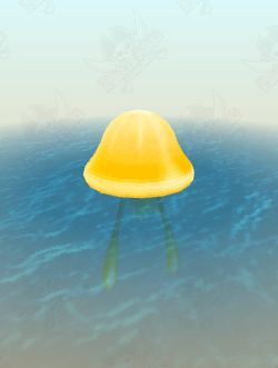 Sea Jelly