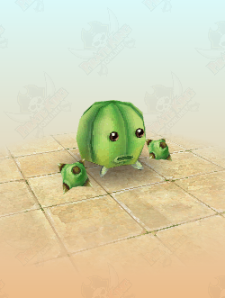 Melon