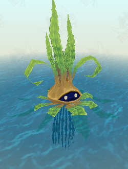 Seaweed