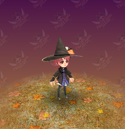 ami-traveller.png