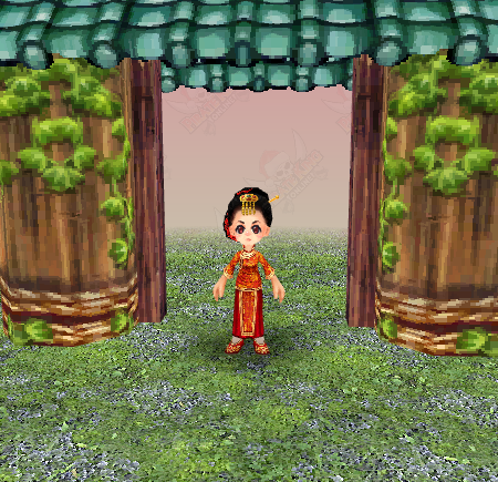 chinese-ami.png