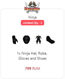 package-ninja-2738-1609717855.png