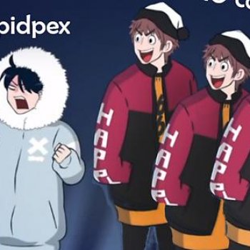 Spidpex memories