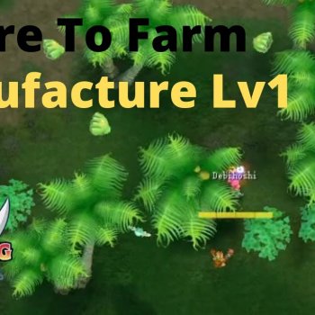 Farm Spots For Manufacture lv1 Pirate King Online!