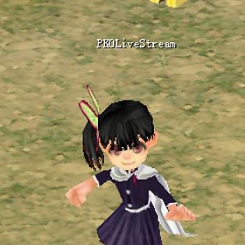 Butterfly Pillar Apparel