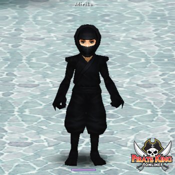 Ninja