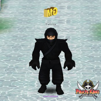 Ninja